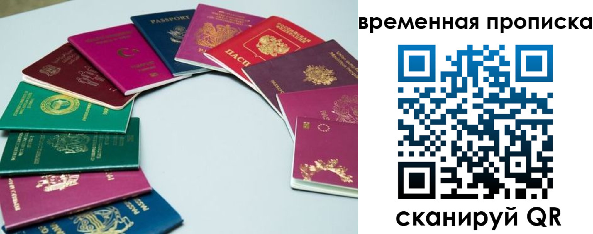 найти адрес прописки в Волоколамске
